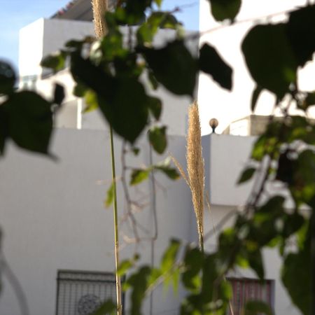 Residence Sterne Hammam al Ghazzaz Bagian luar foto