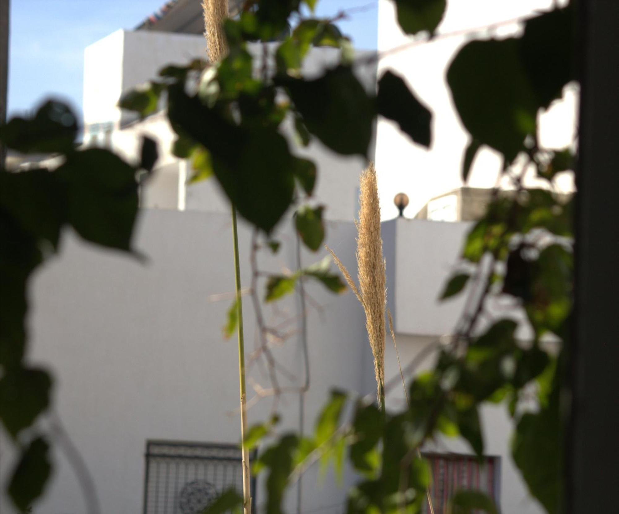 Residence Sterne Hammam al Ghazzaz Bagian luar foto