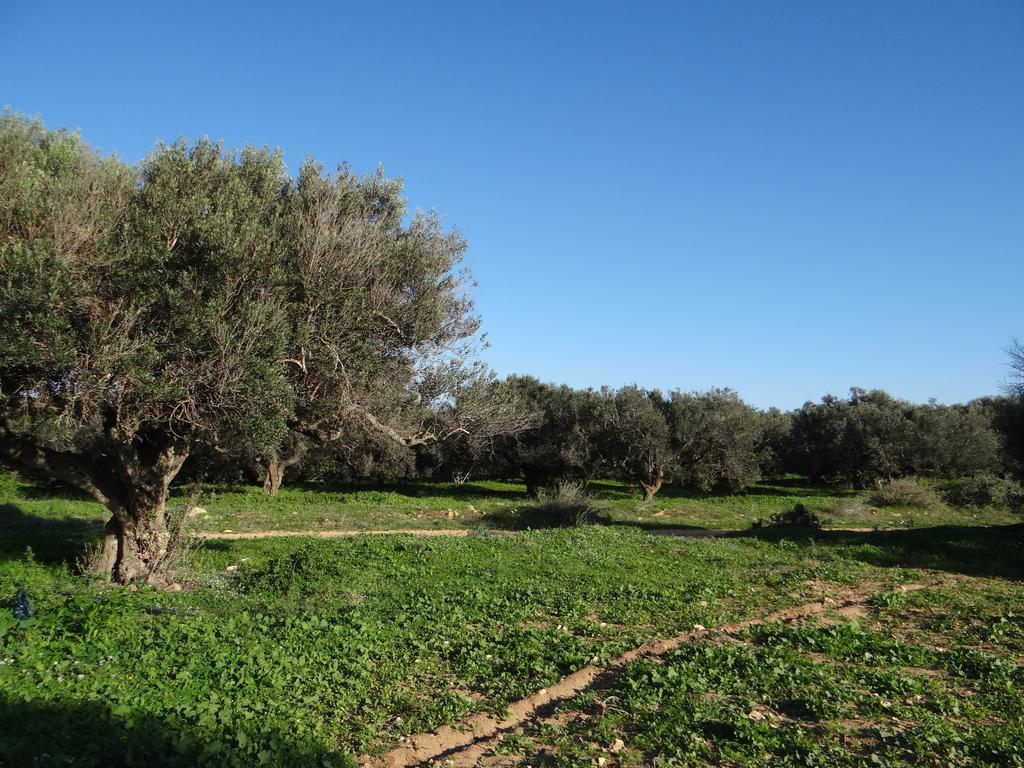 Residence Sterne Hammam al Ghazzaz Bagian luar foto
